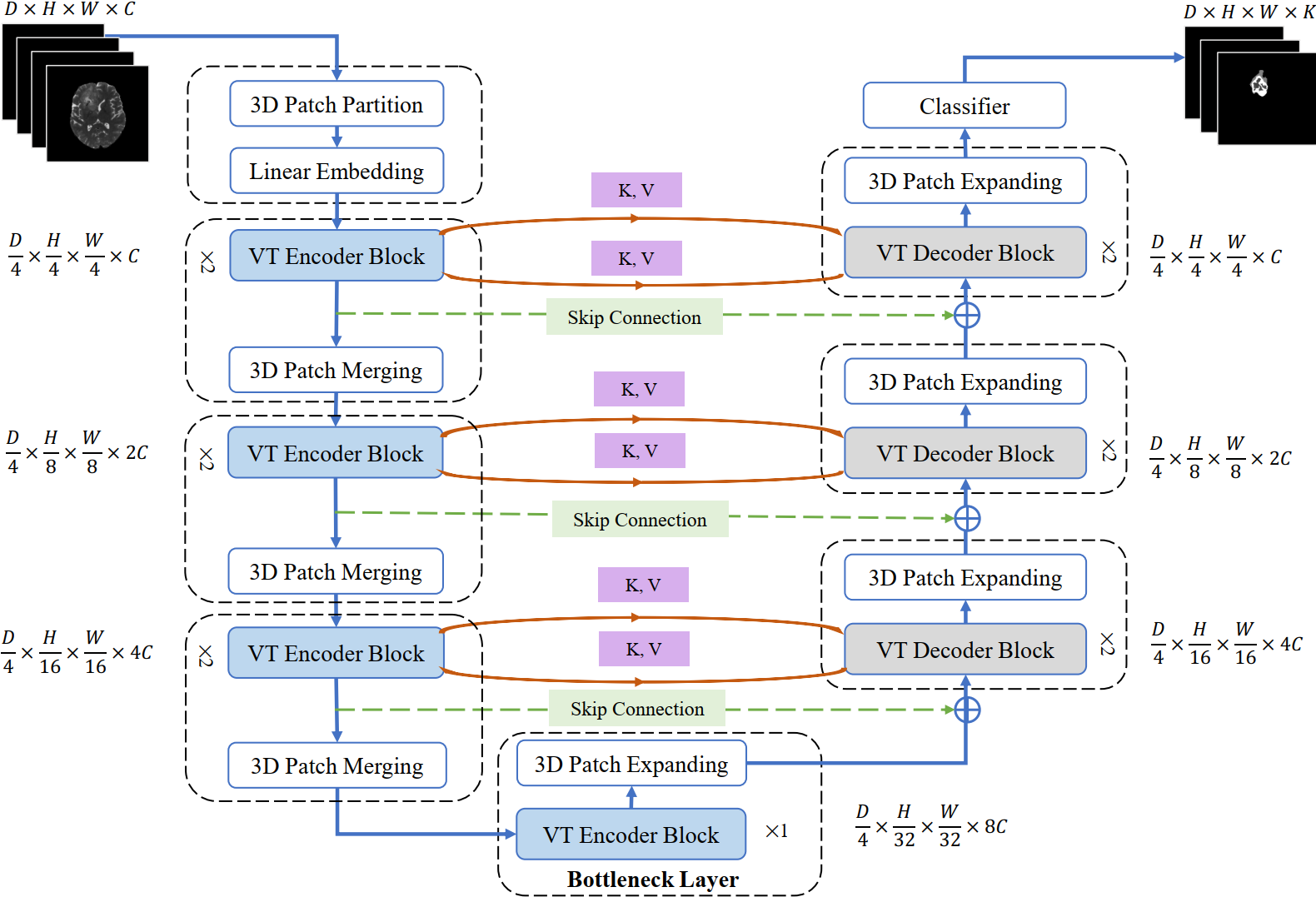 VT-UNet